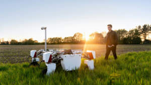 Plants scream when uprooted scientists capture sound for first time